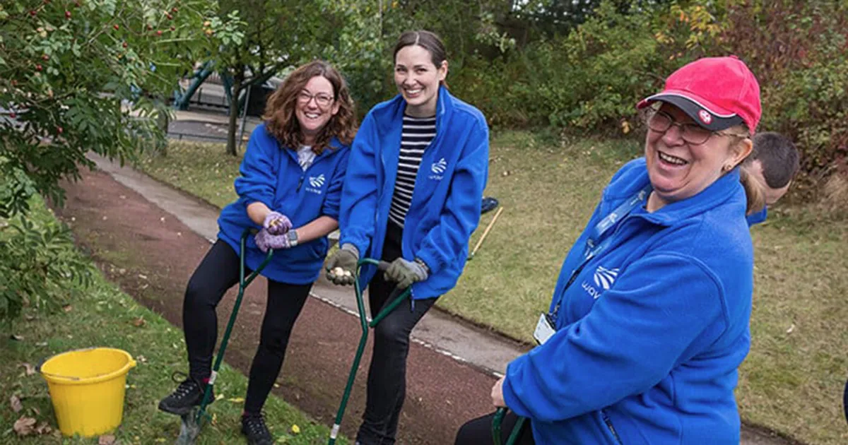 Wave employees doing a volunteer activity