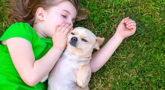 7 Secrets to a Successful Workplace Giving Program, Part One