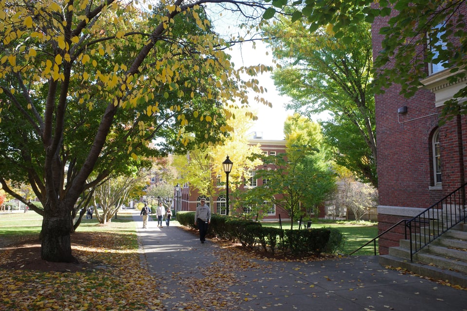 A sidewalk with trees showing yellow leaves, people walking, and red brick buildings.