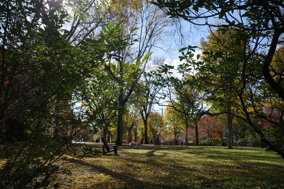 A park inside Brown University quad, trees in fall colors and sunlight shining through the branches.