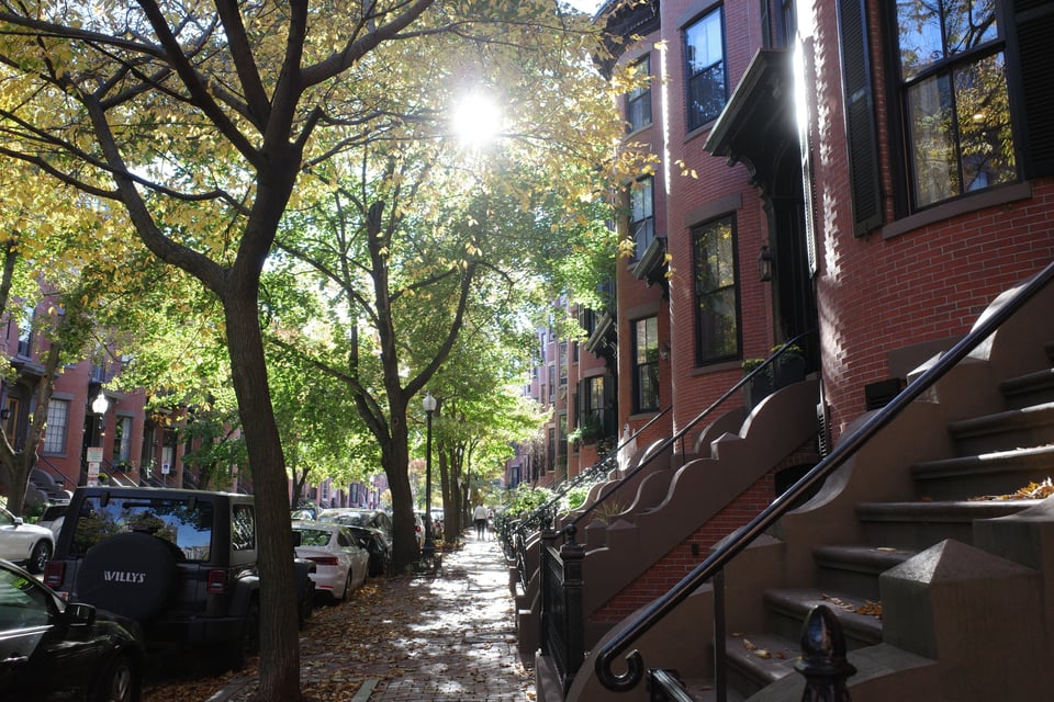 A tree-lined street with sunlight filtering through the branches