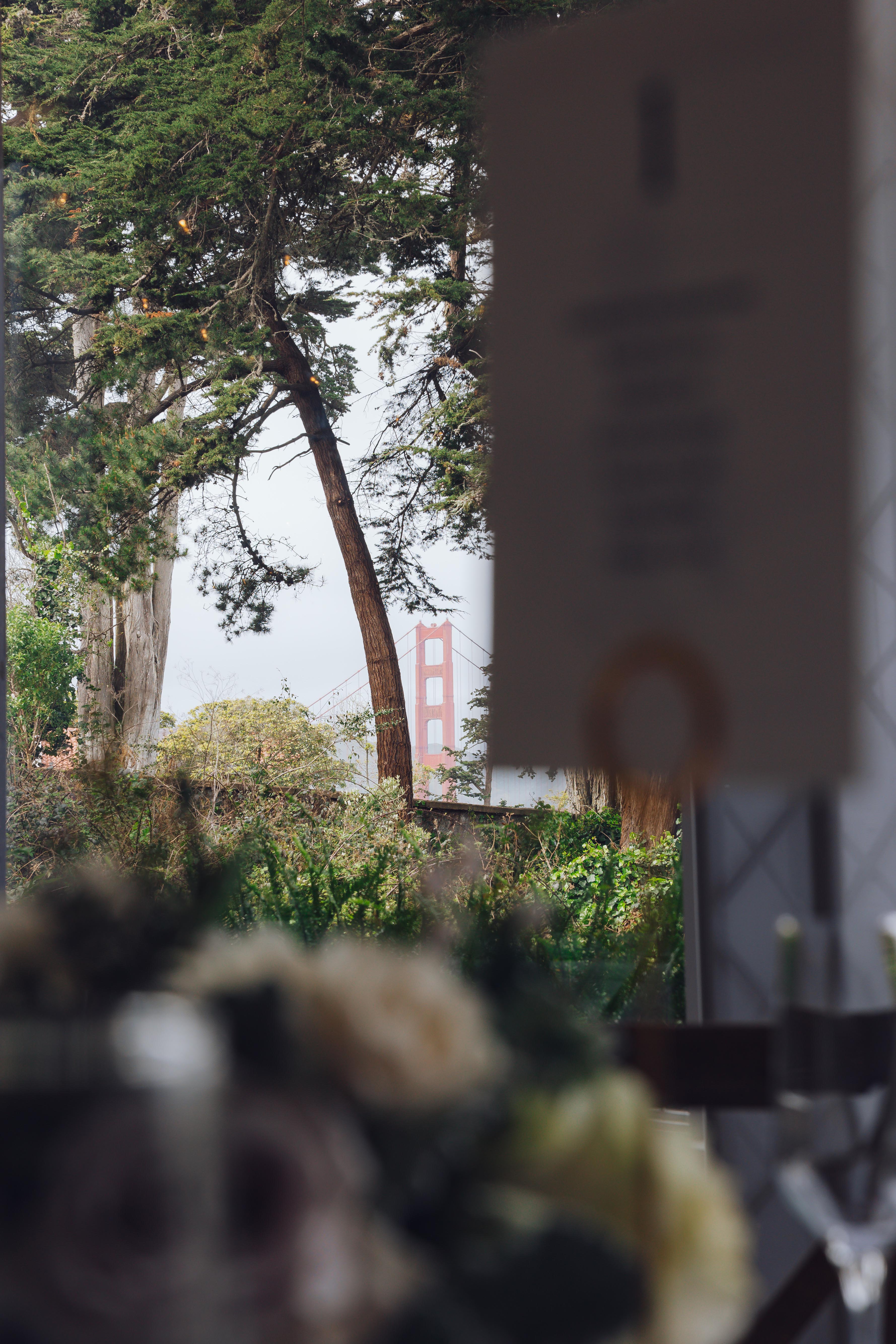 View of the Golden Gate Bridge partially obscured by trees and foliage, with blurred flowers and table decor in the foreground.