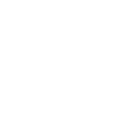White camera icon with a large diamond ring overlay on a black background.