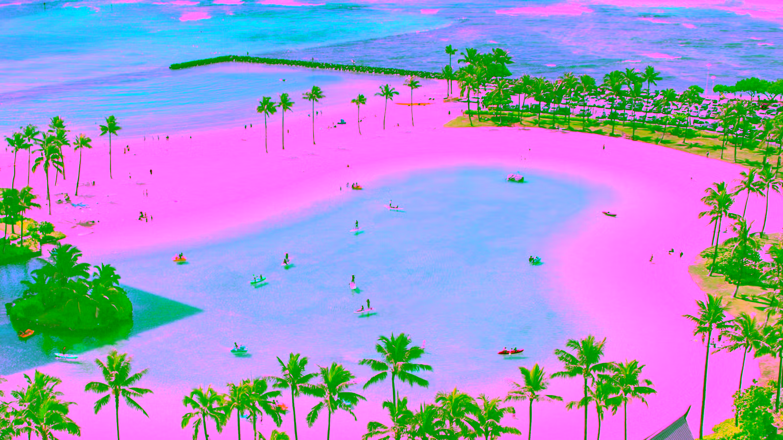 beach in hawaii