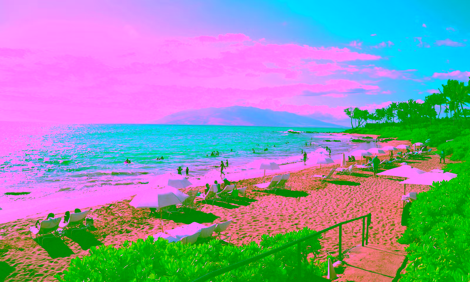 hawaii beach with umbrellas, beach chairs, and people swimming in the clear blue water