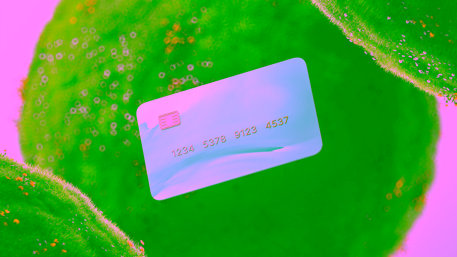 Travel rewards debit card on green background