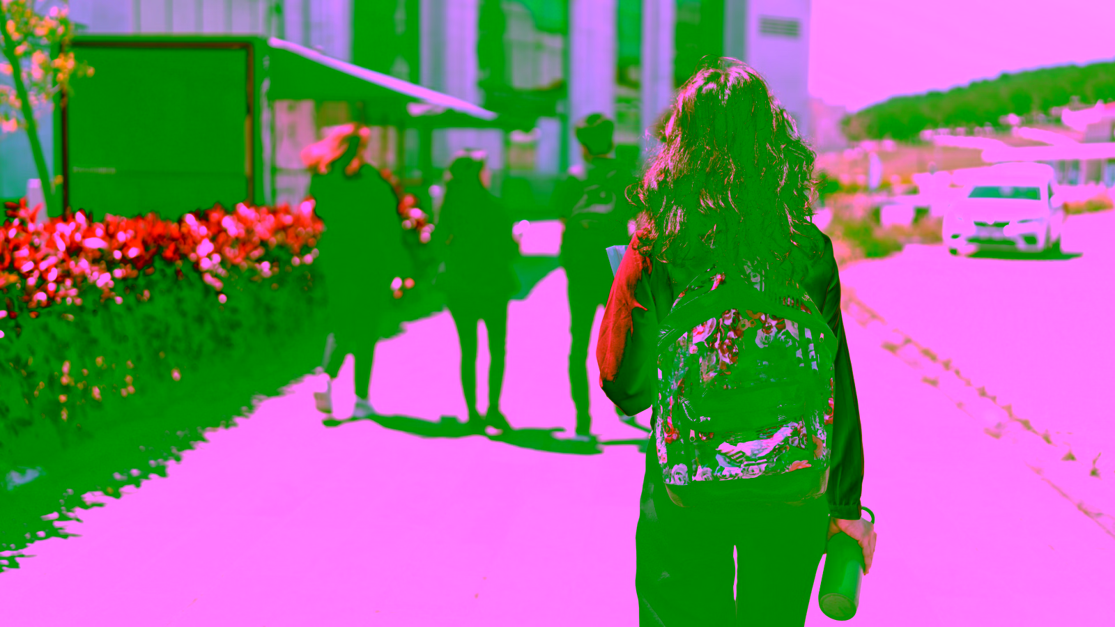 Students walking on campus