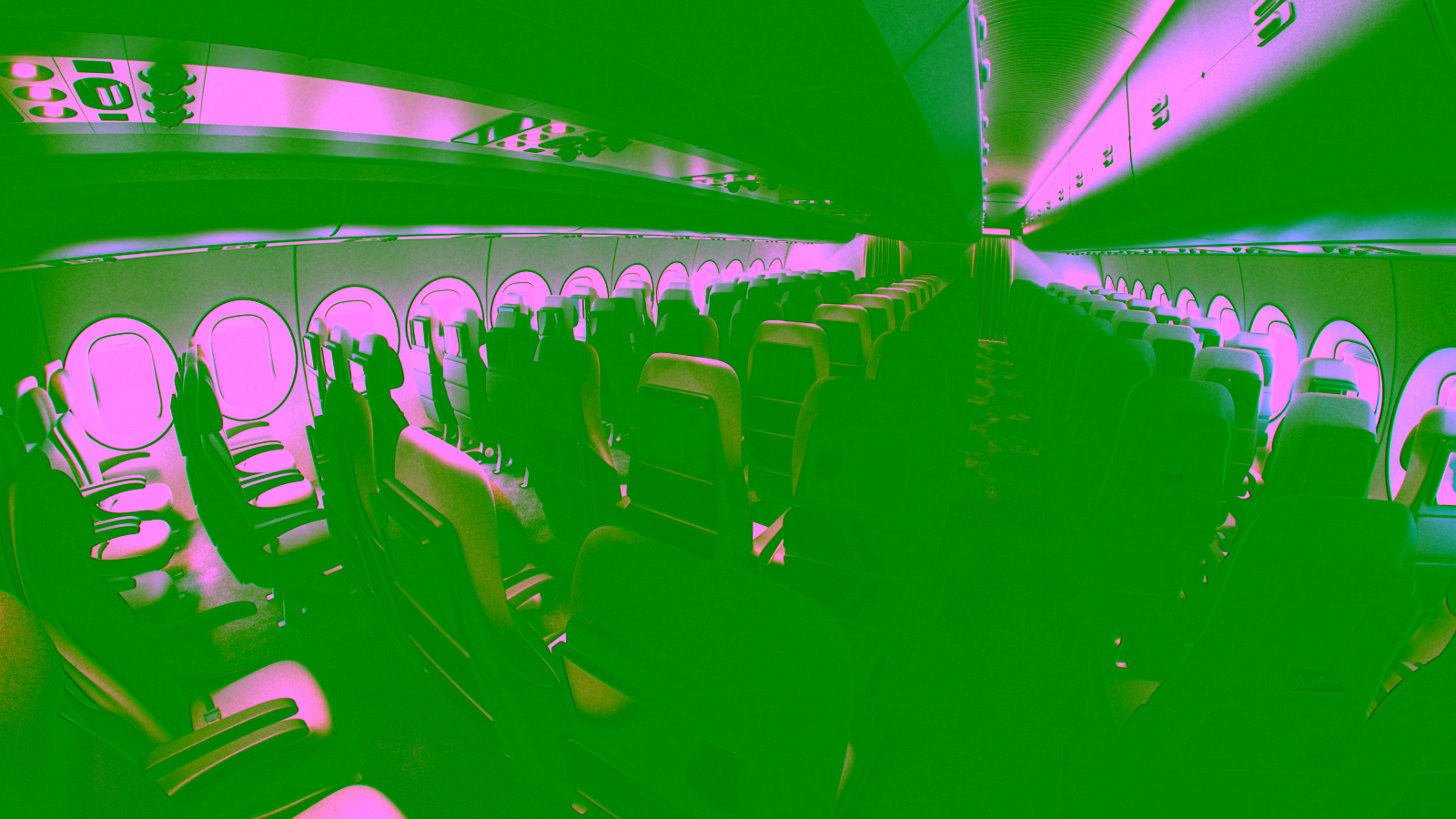 Empty economy class seats with overhead compartments.