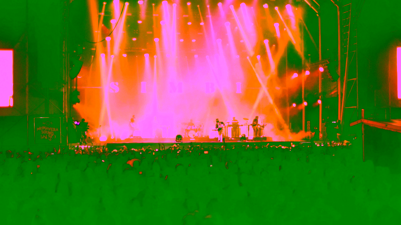 Concert crowd at live music event