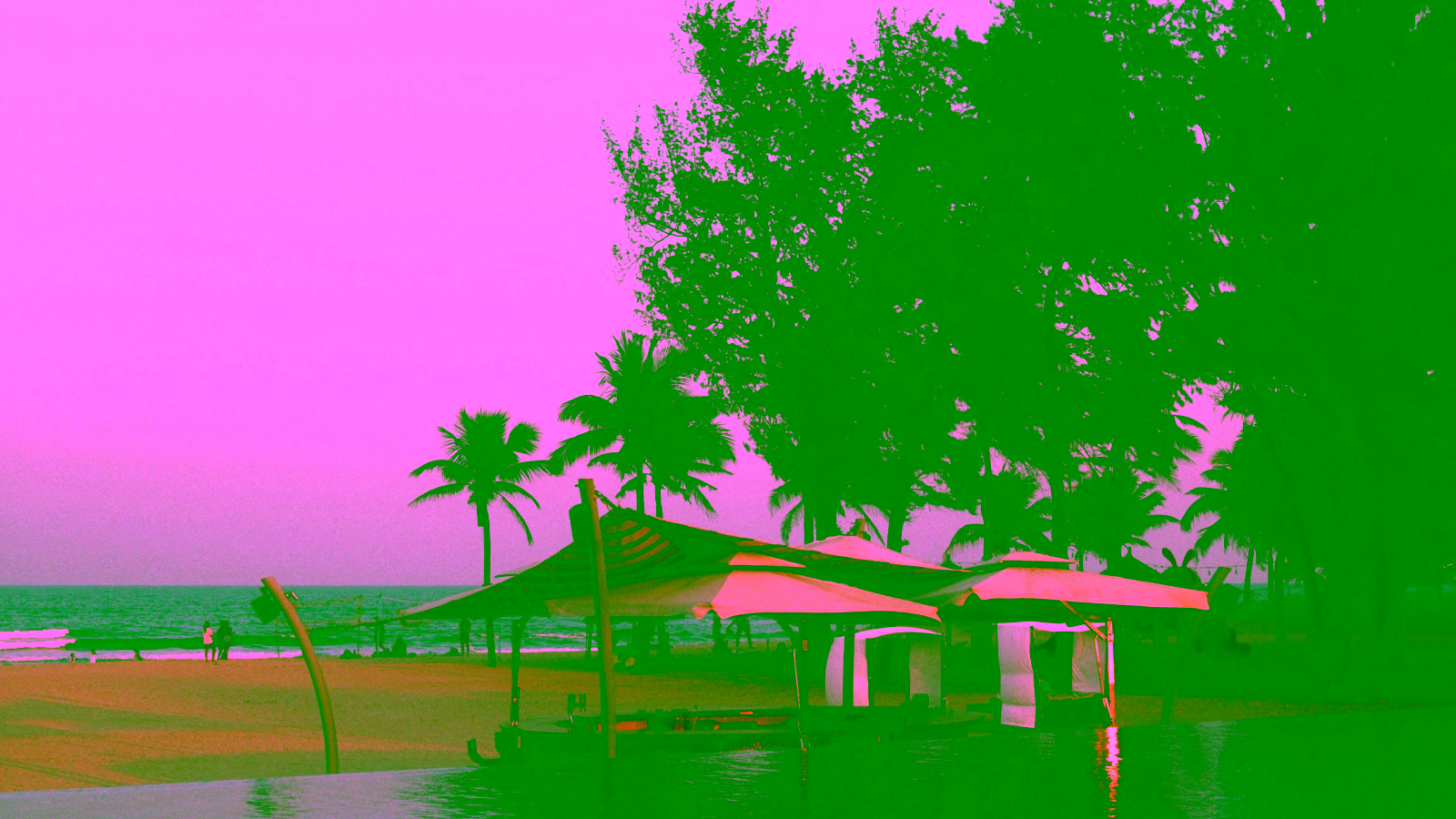 Beach resort view with palm trees at sunset