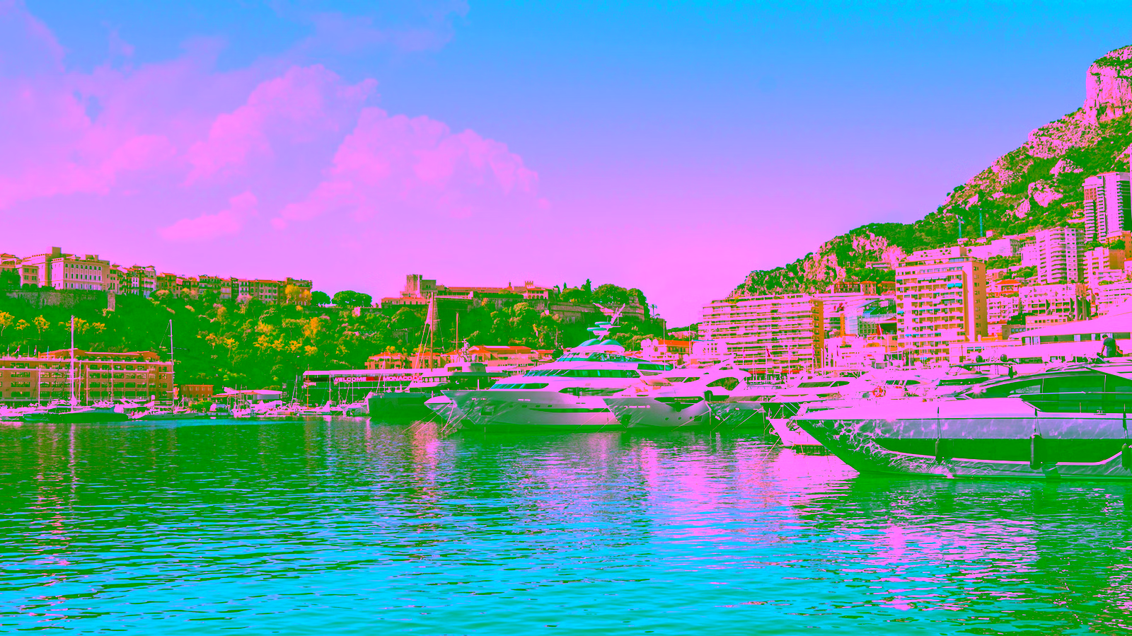 Yachts at the Marina