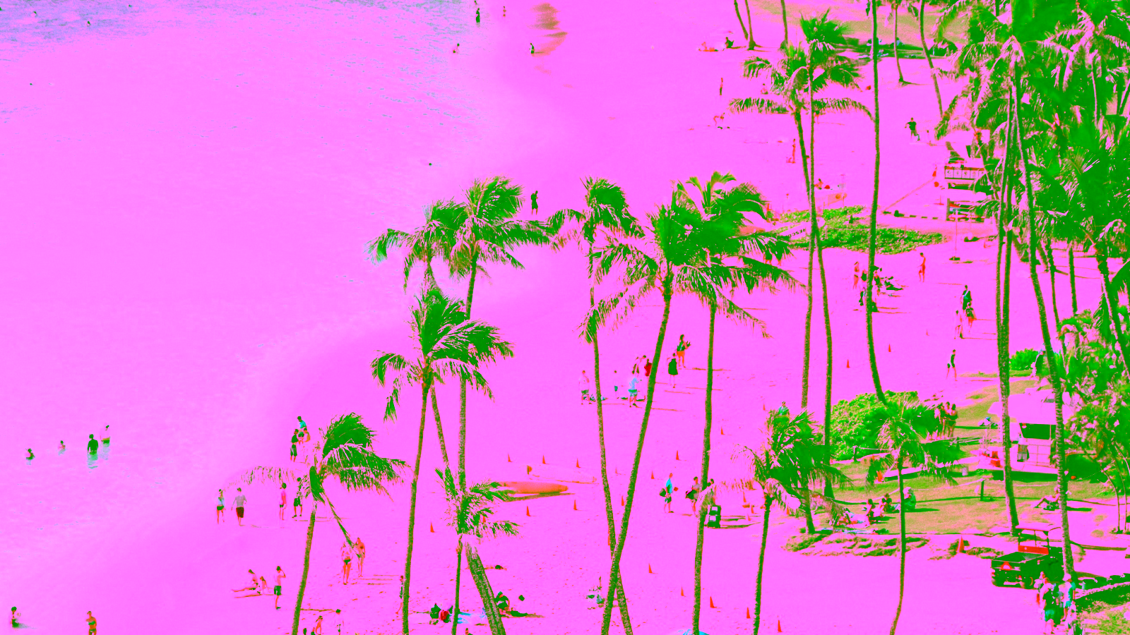 Tropical beach with palm trees.