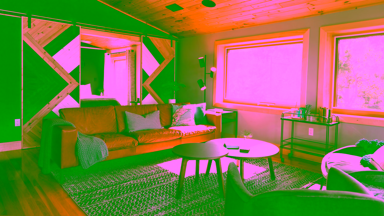 Modern cabin living room interior