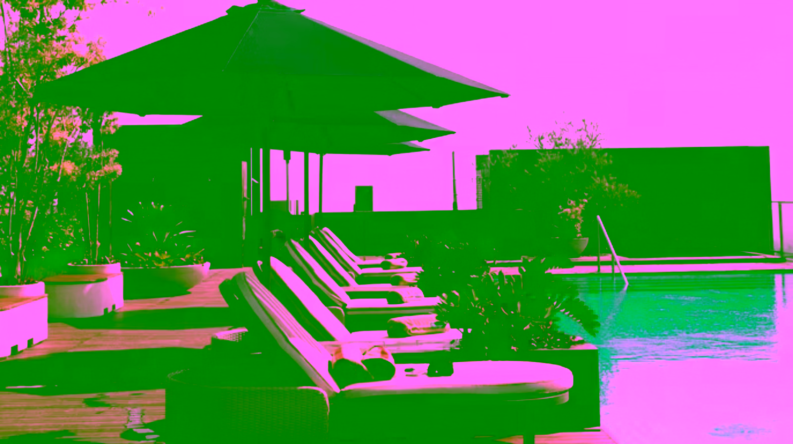 Luxury poolside lounge with sunbeds