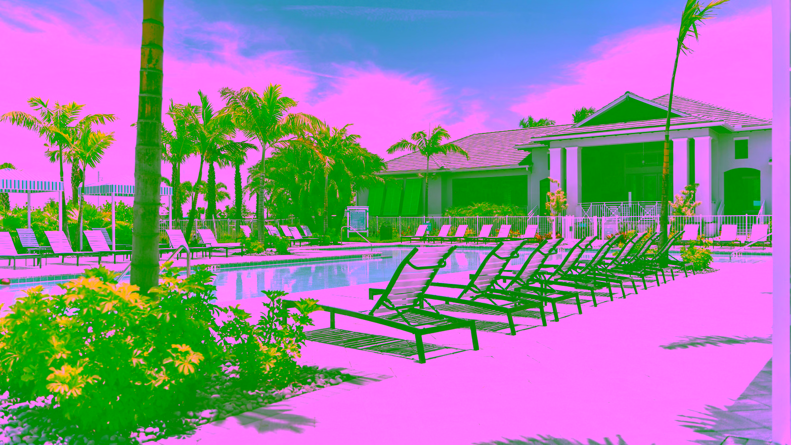 Luxury resort pool with lounge chairs and palm trees