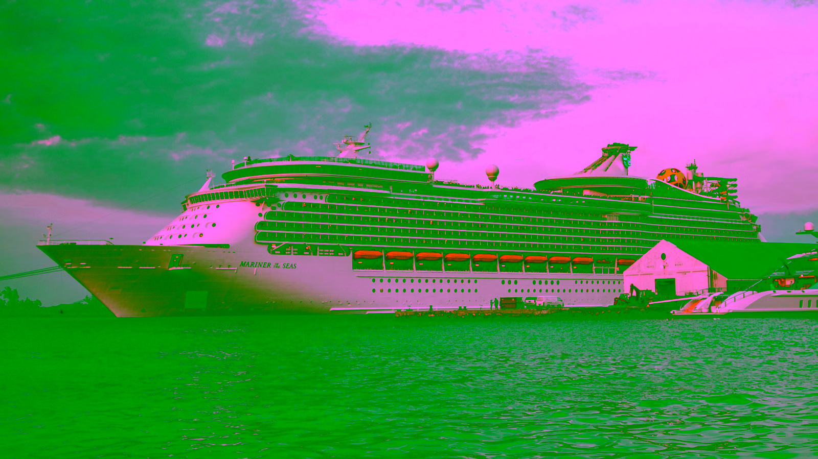 Cruise ship docked at port