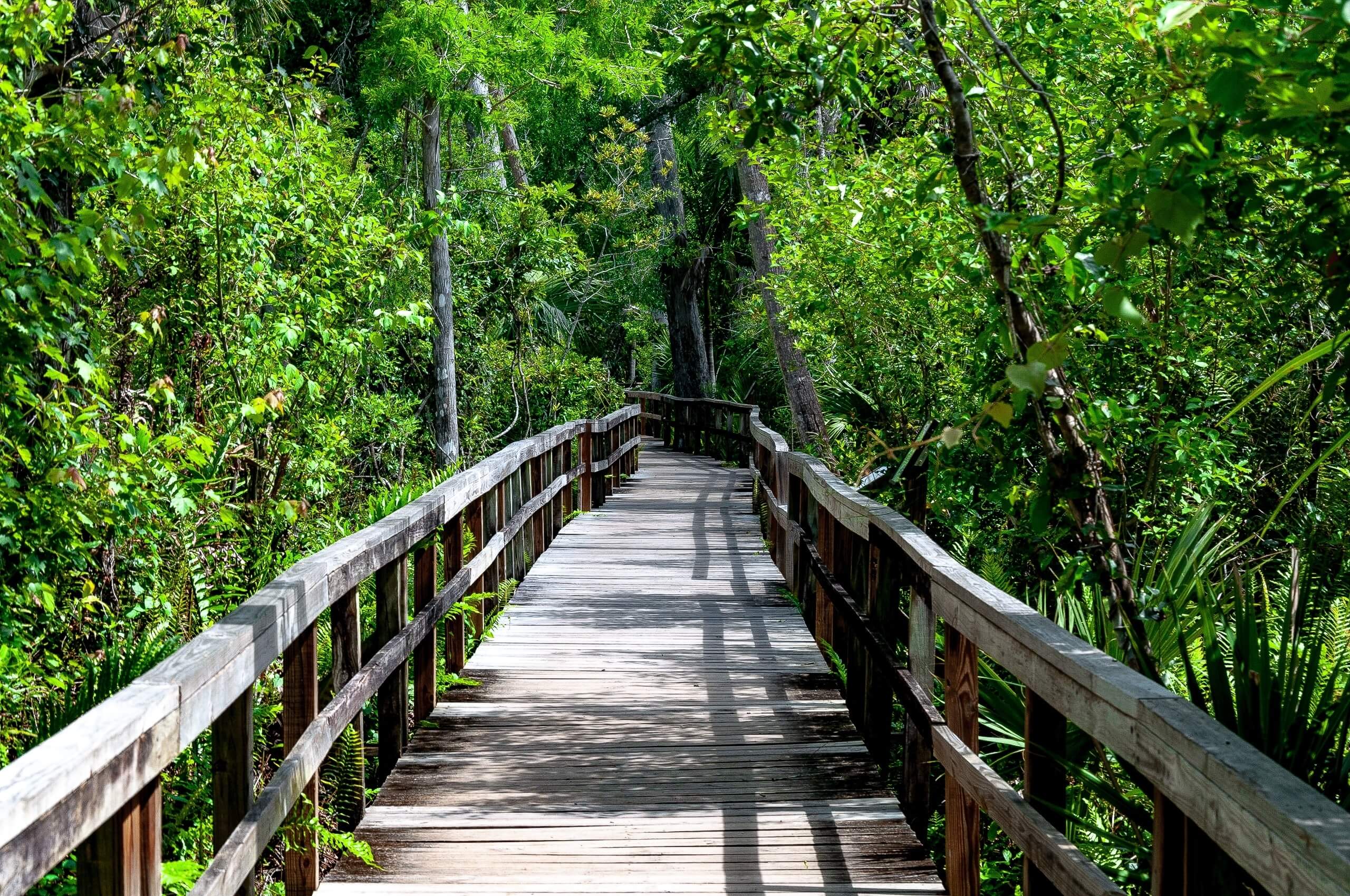 Sunrise hiking trail