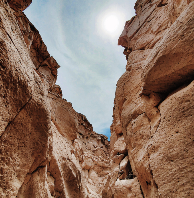 Oasis image