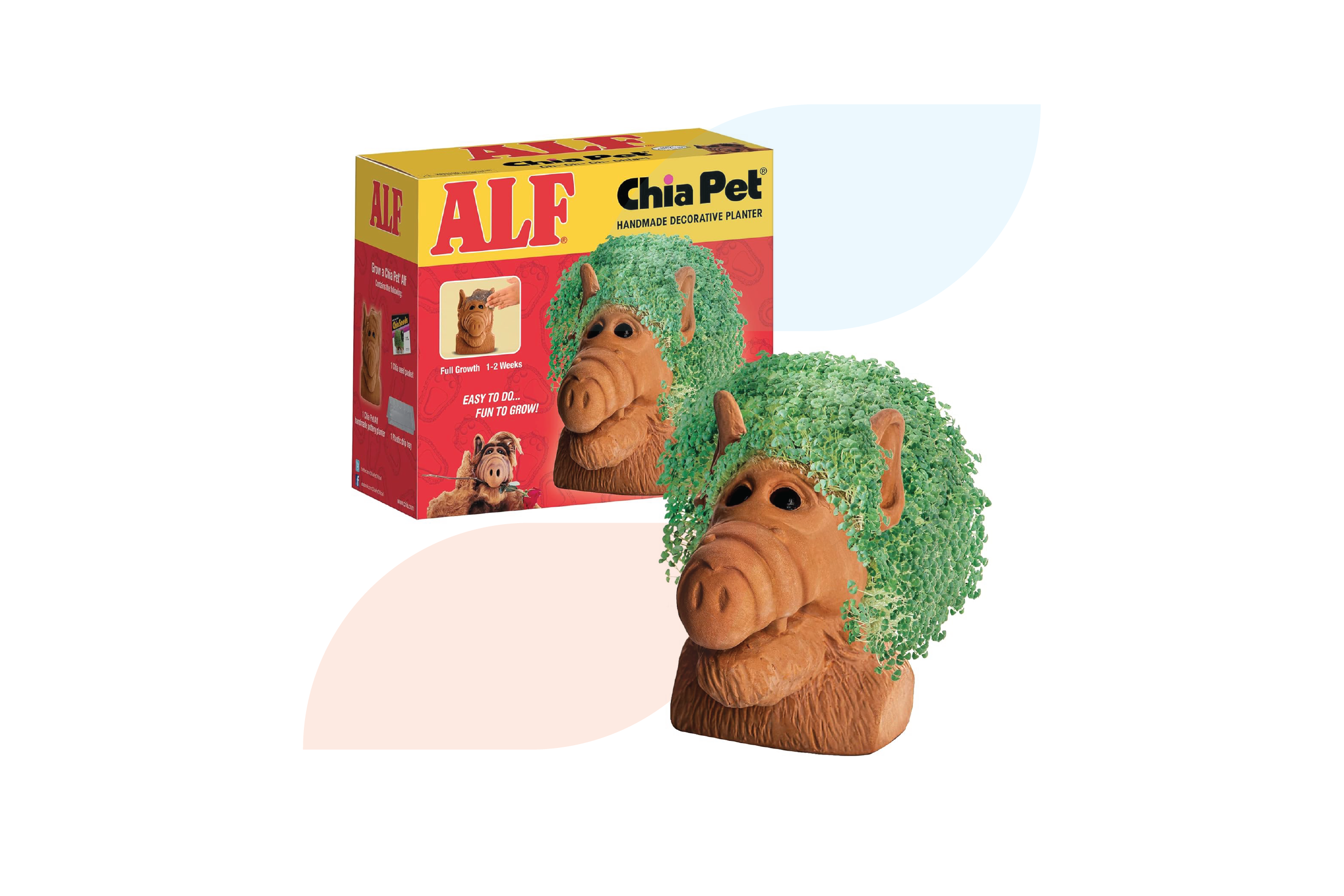 Chia Pet with box packaging