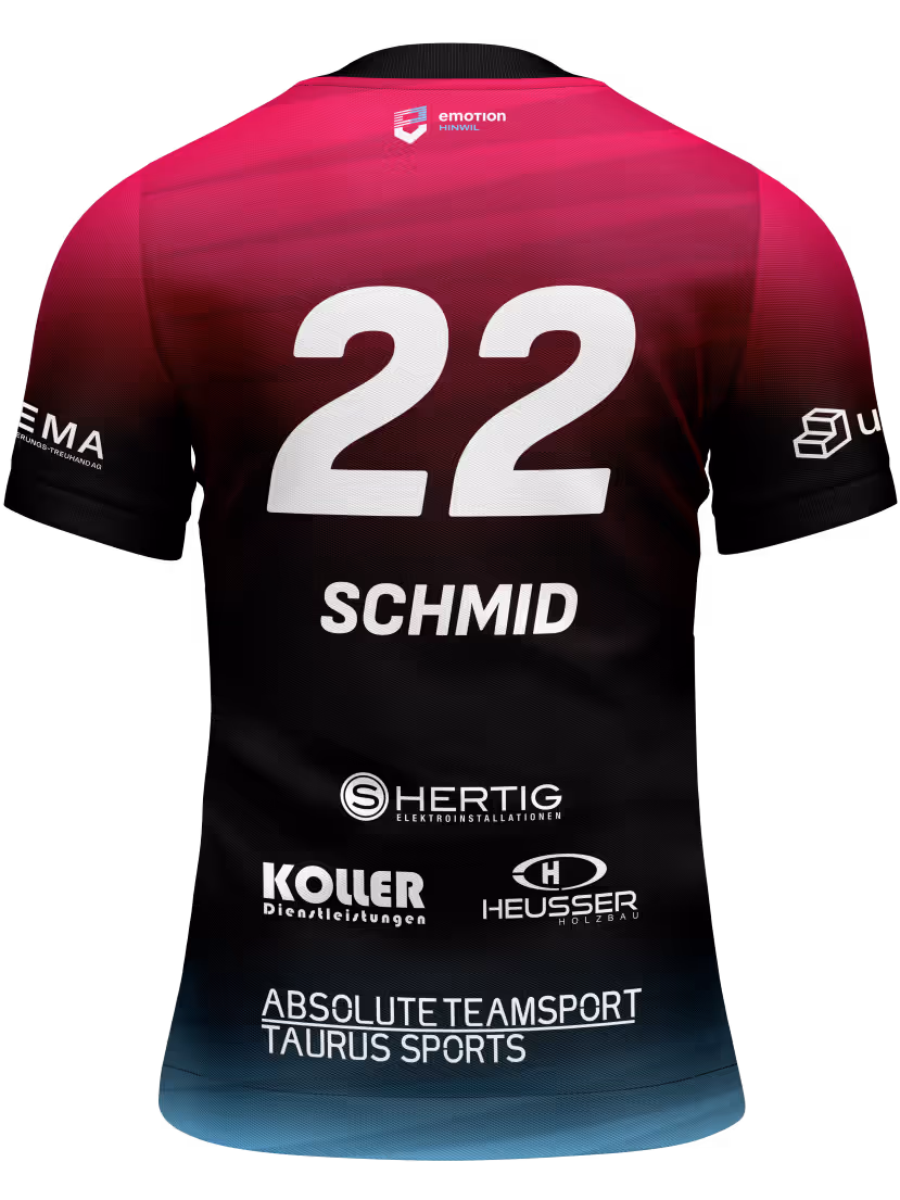 Einspieltrikot hinten