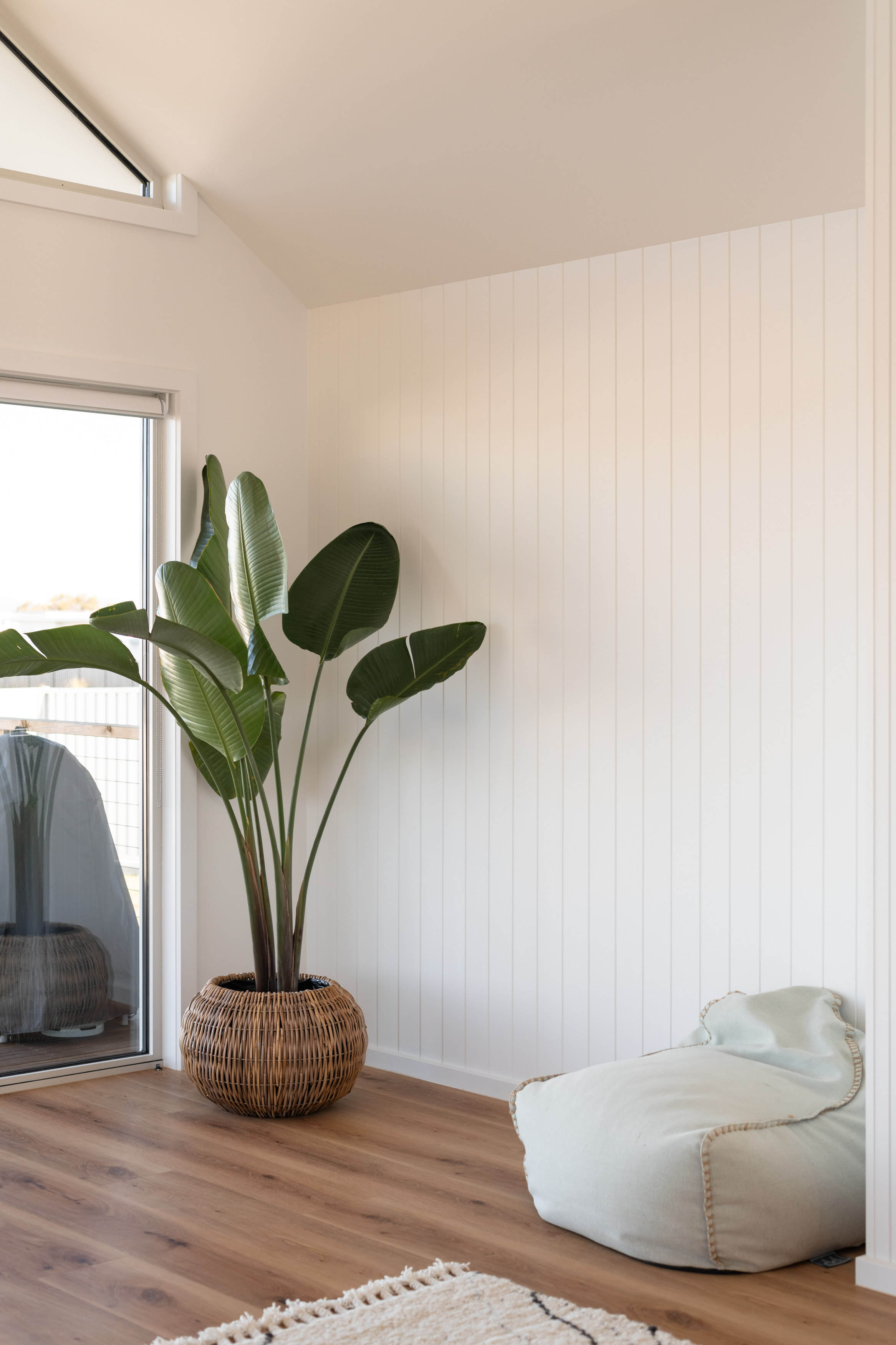 A nice small sitting area with a nice plant sitting in the corner.
