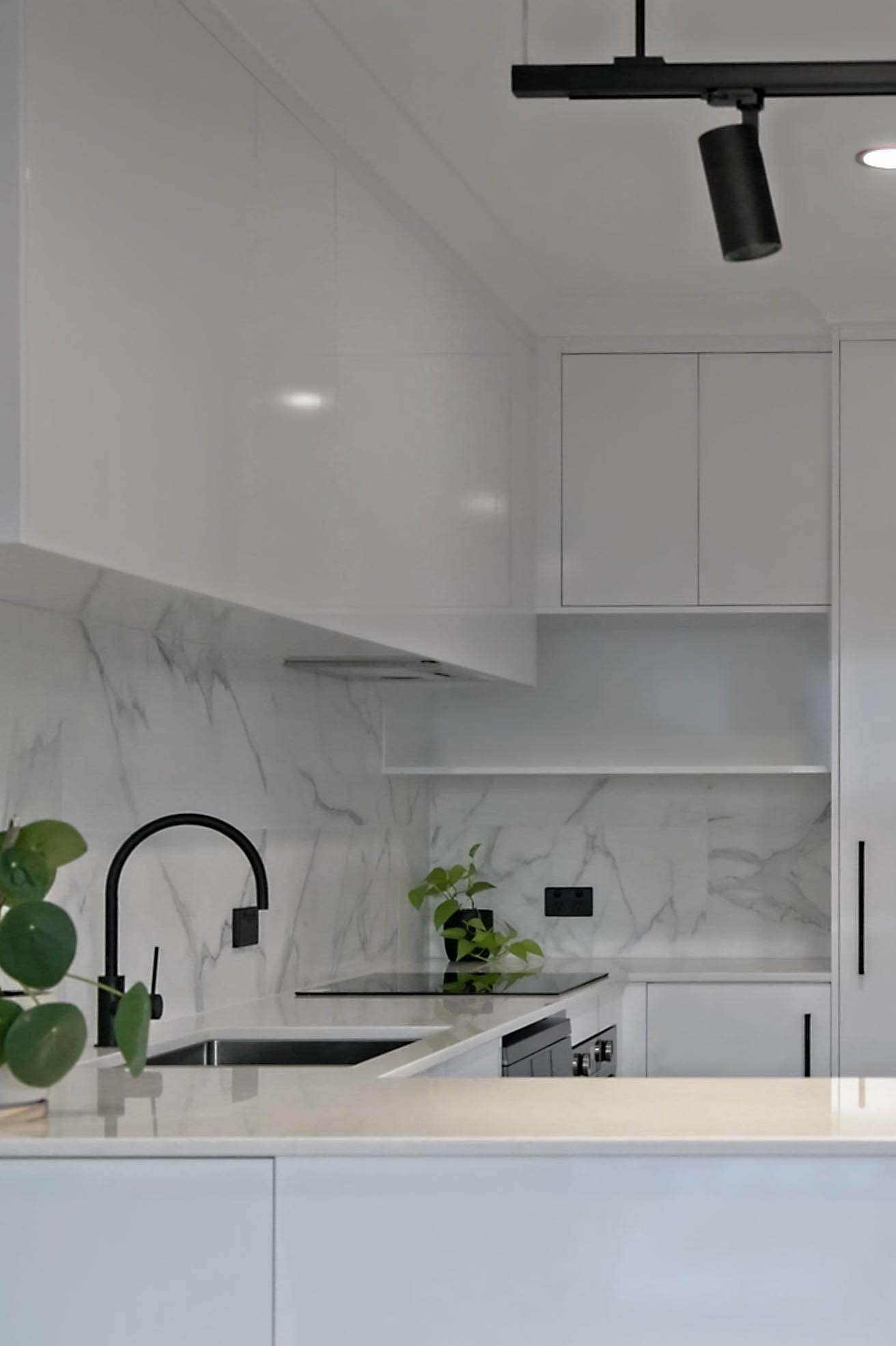 A kitchen with a plant sitting on a bench.