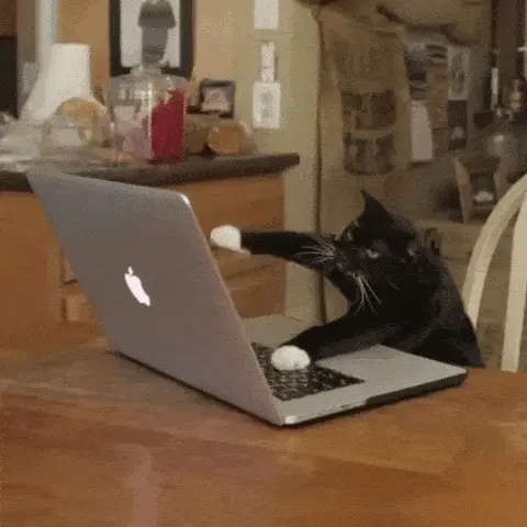 A GIF of a cat typing on a laptop.