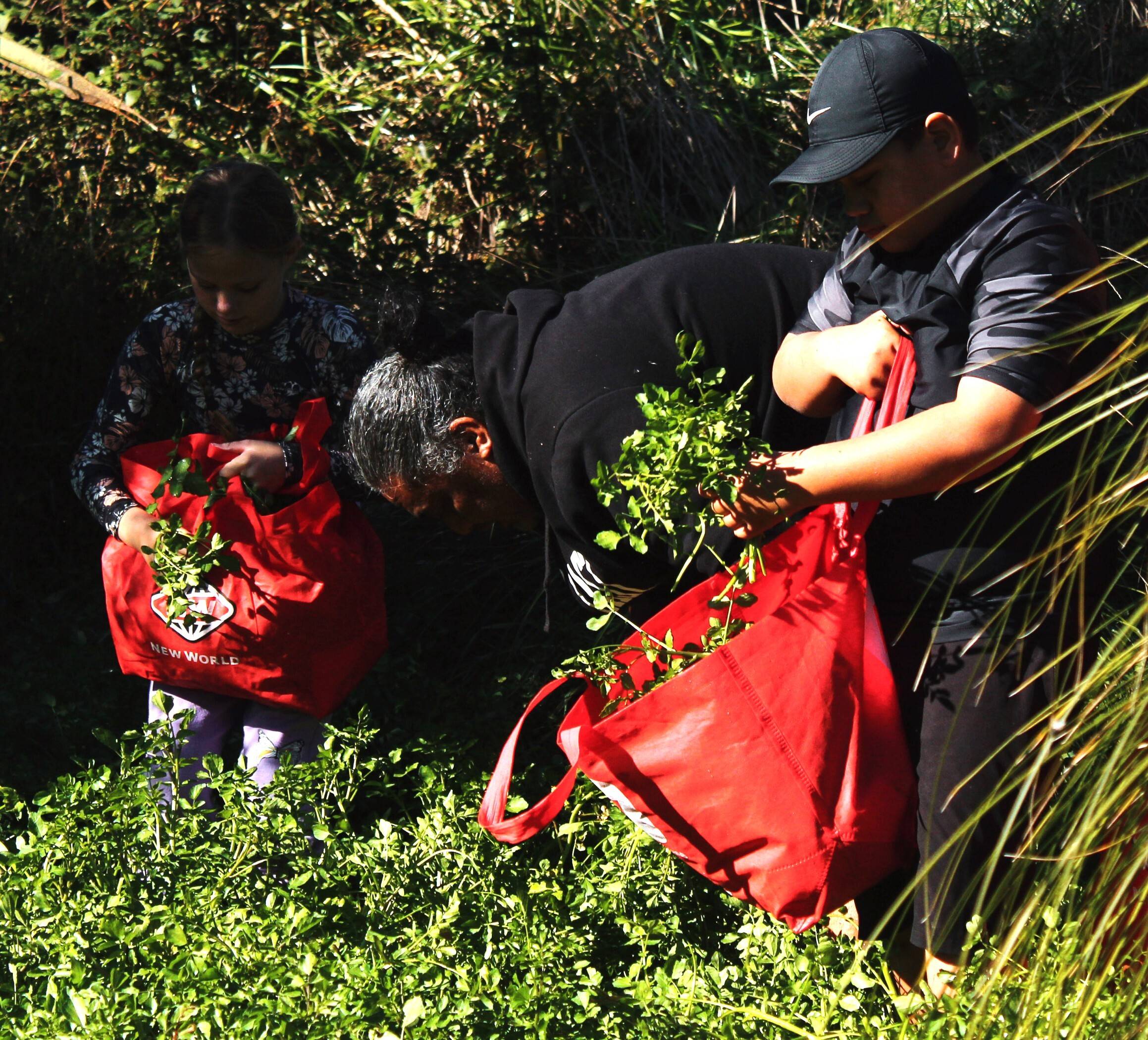 Māhuru Māori
