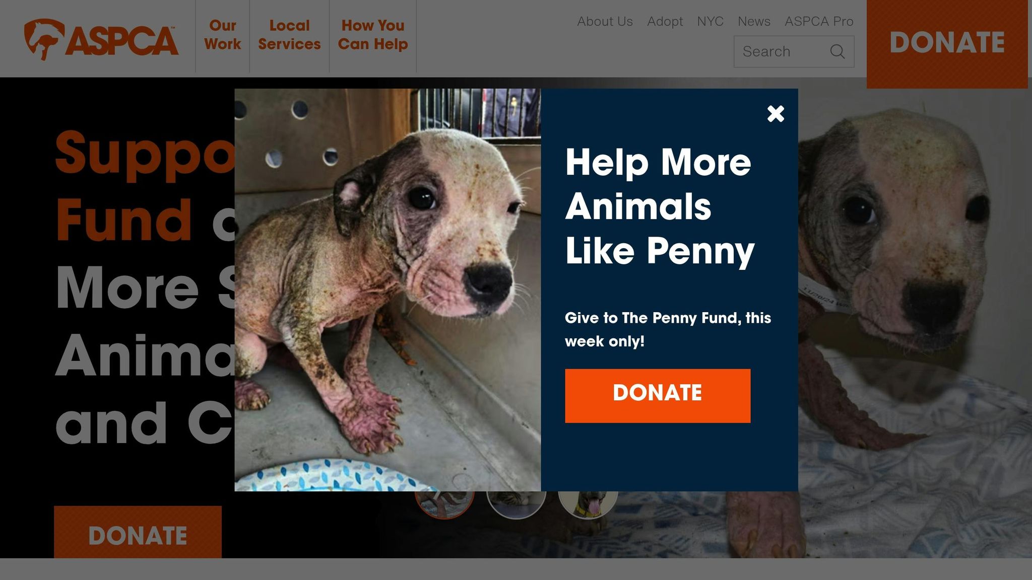 ASPCA