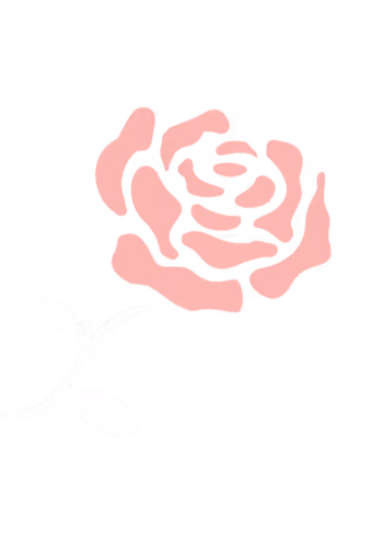 En rød rose på en sort baggrund.