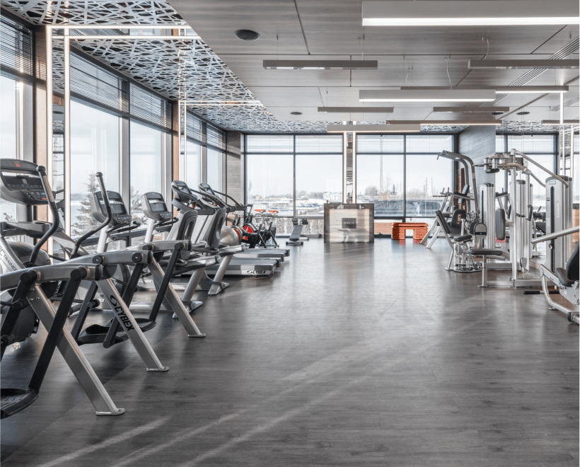 New York NY Default Image - Fitnestic X Webflow Template
