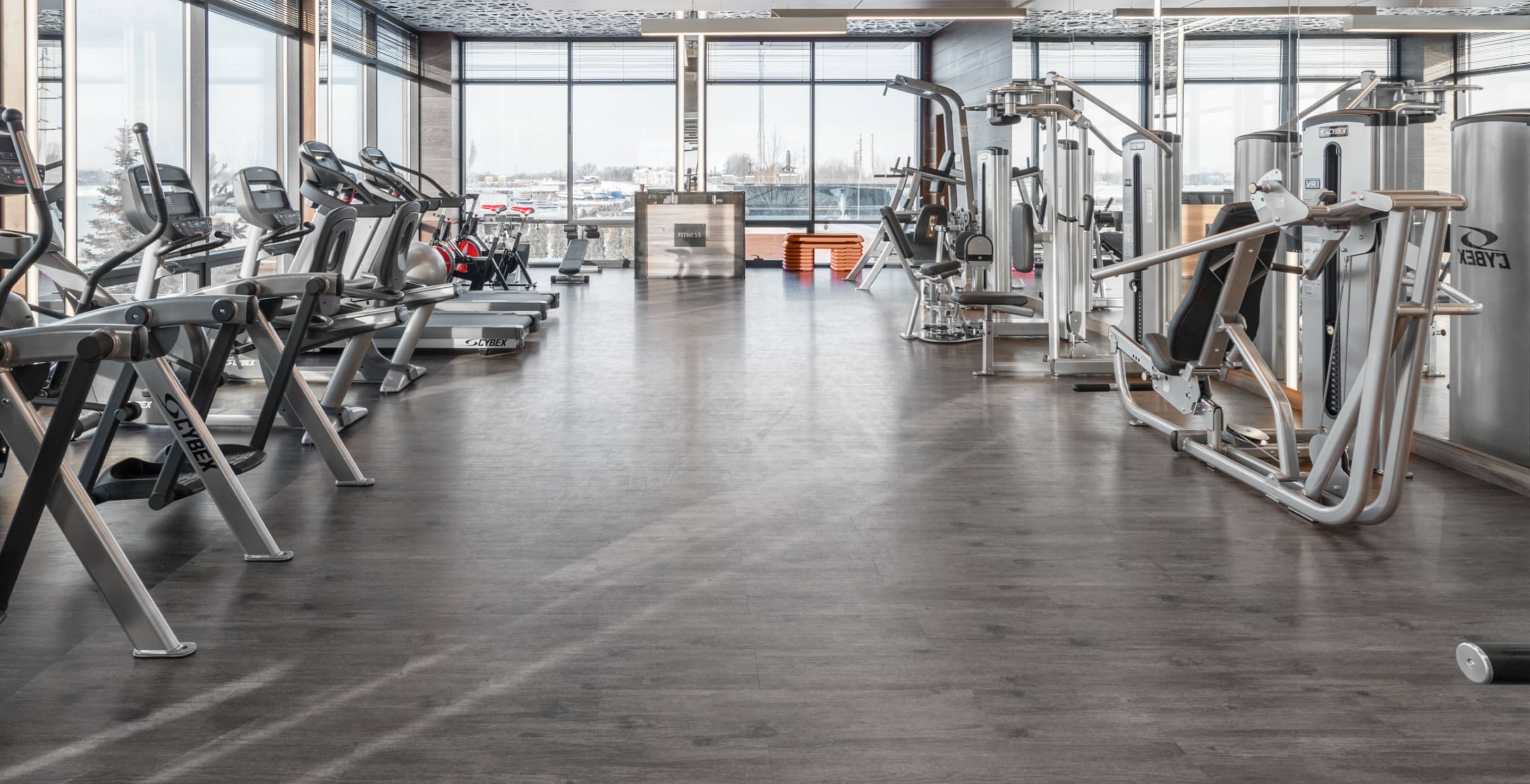 New York NY Thumbnail Image - Fitnestic X Webflow Template