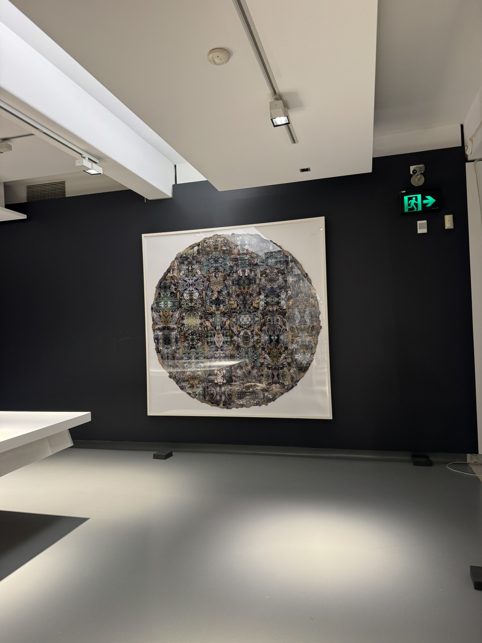 framed artwork installation Brisbane professional wall mounting