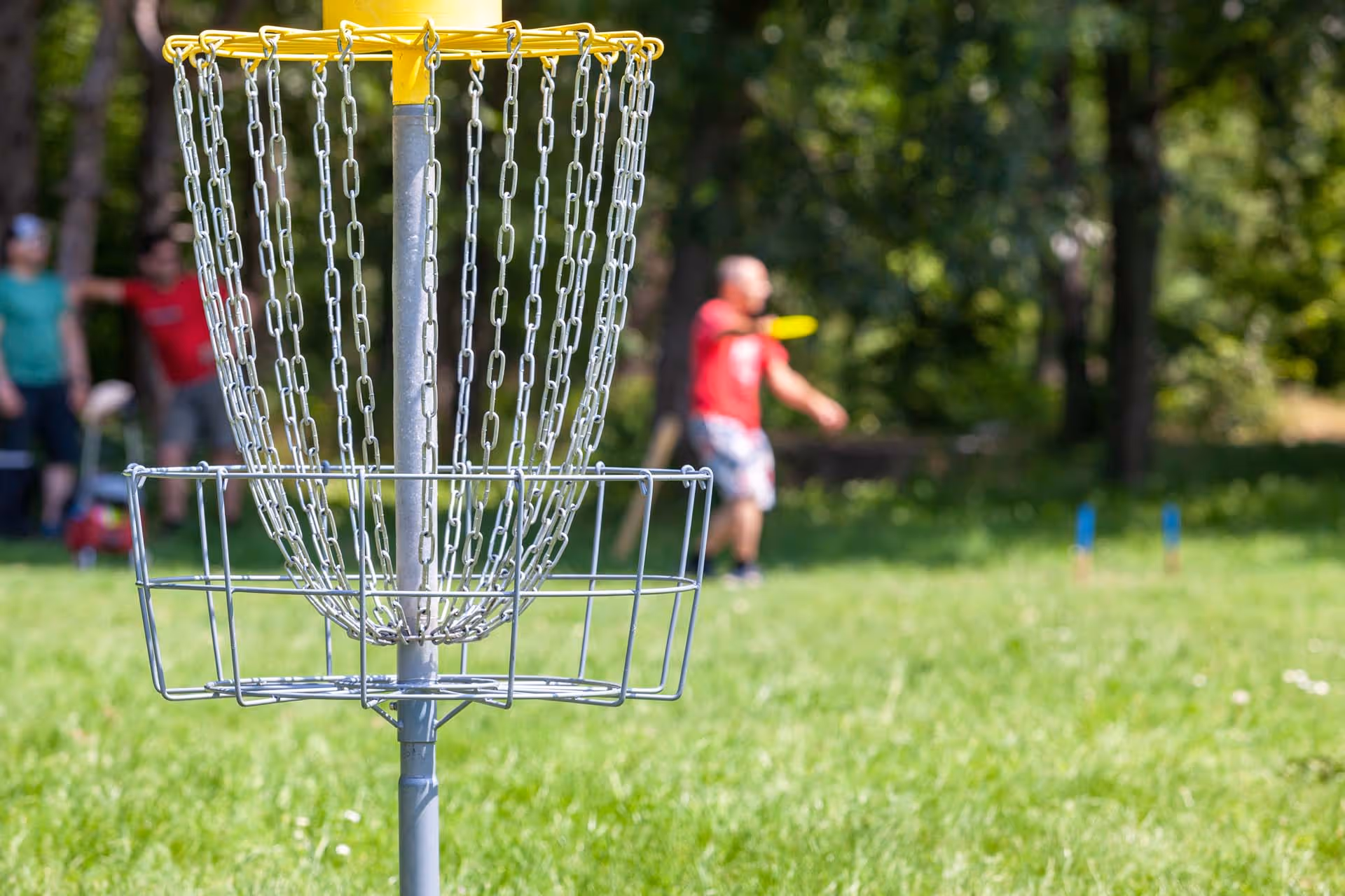 Disc-Golf