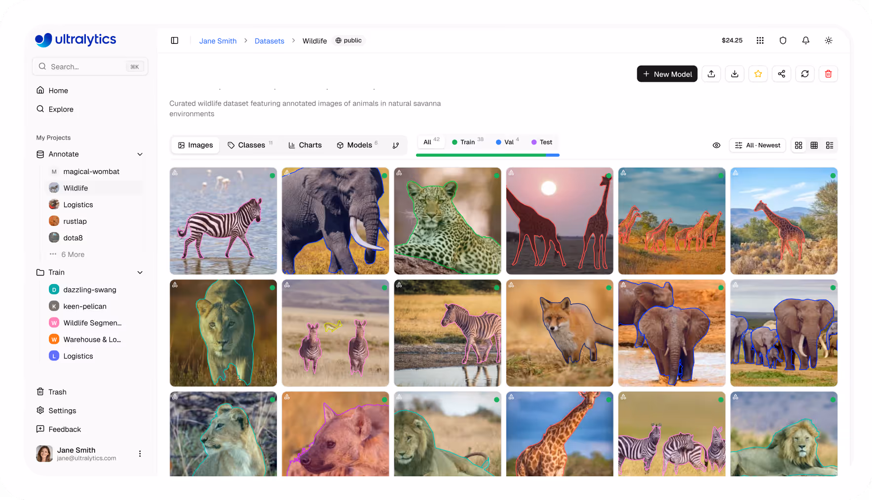 User interface of a wildlife dataset in Ultralytics showing annotated images of zebras, elephants, leopard, giraffes, lion, fox, and hyena in natural savanna environments.