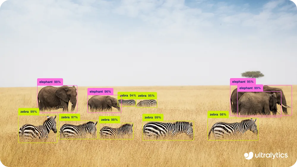 Ultralytics YOLO26 for object detection