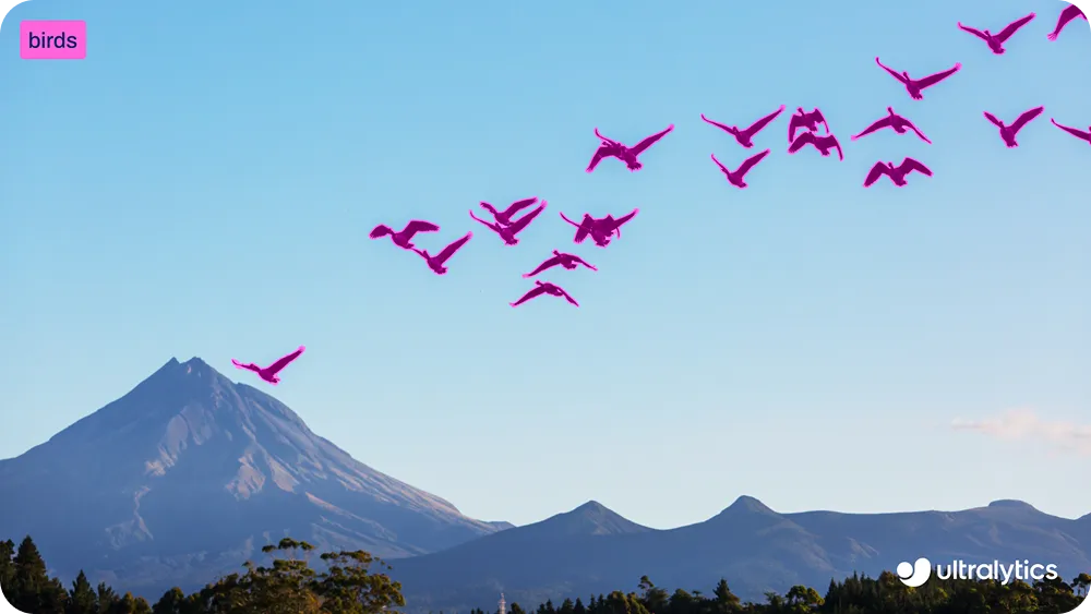 Using Ultralytics YOLO26 for instance segmentation.