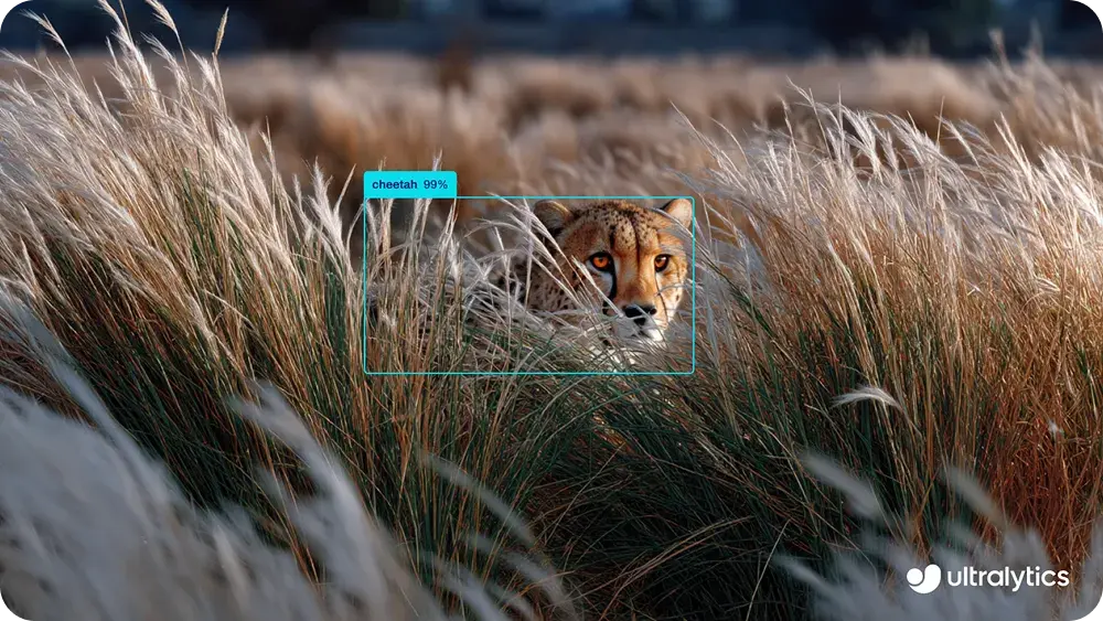 Using YOLO26 to detect objects in an image