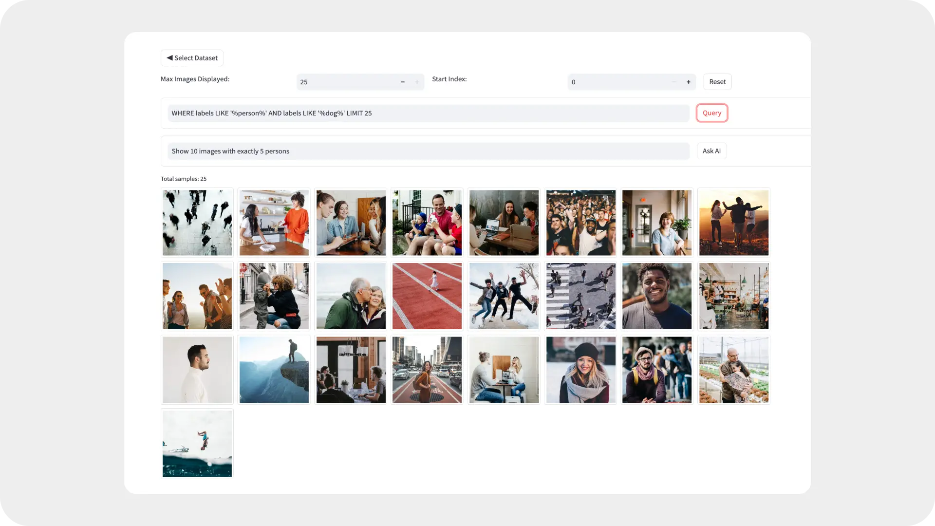 Ultralytics Explorer screenshot with an example dataset