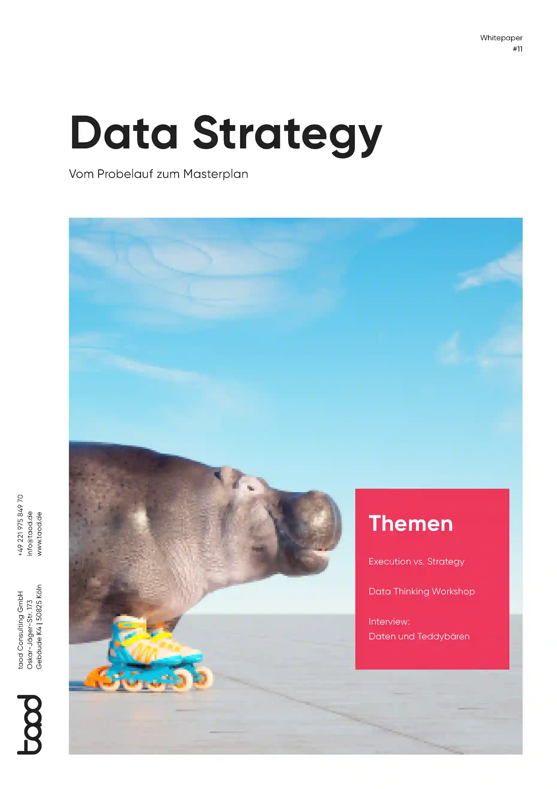 Whitepaper Data Strategy