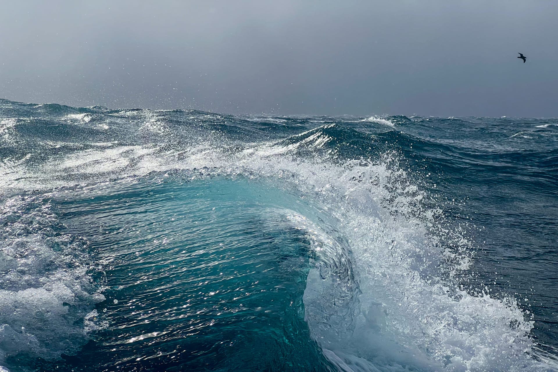 Margault Demasles -Photographe Reporter