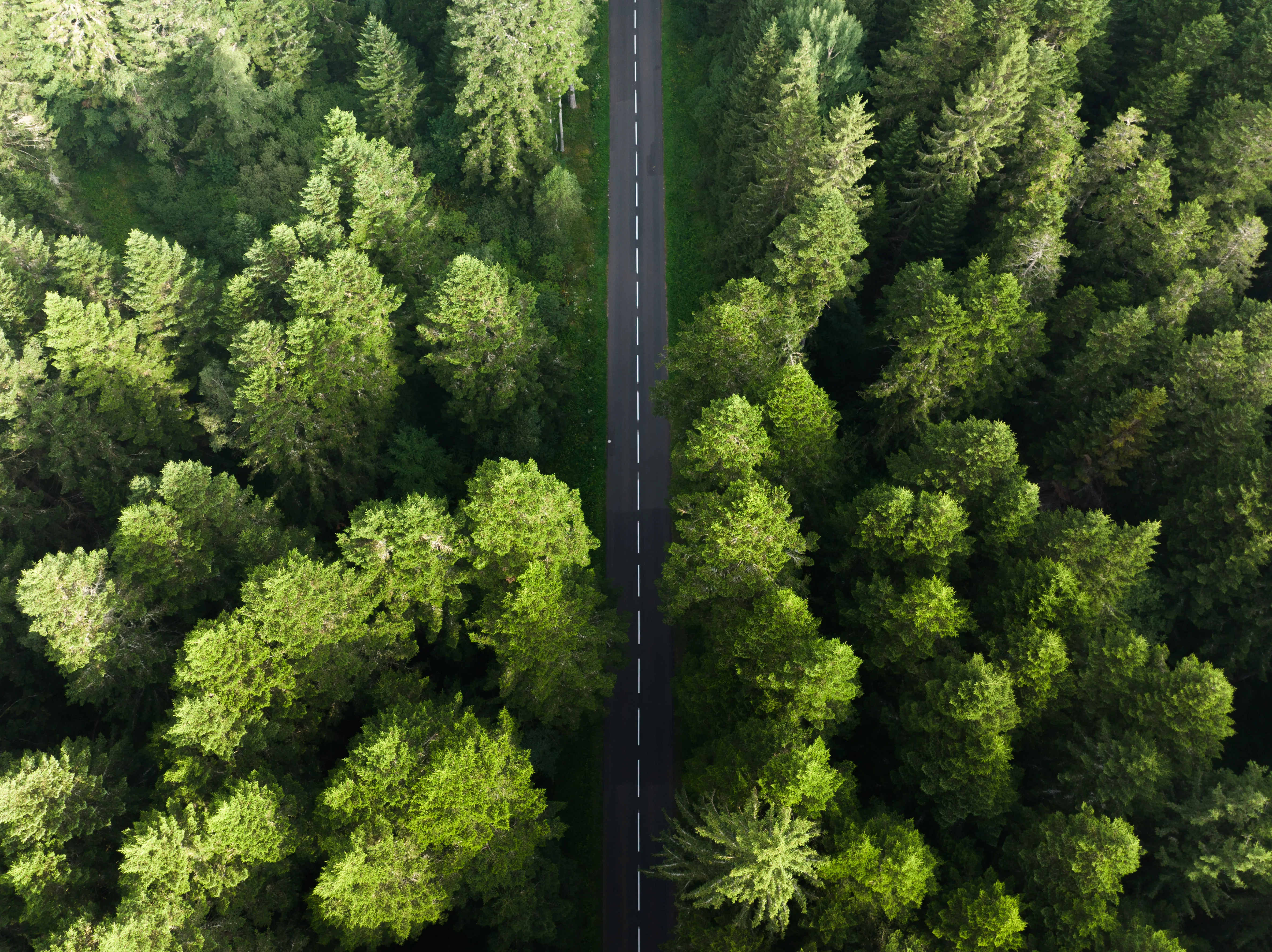 Margault Demasles -Photographe Reporter