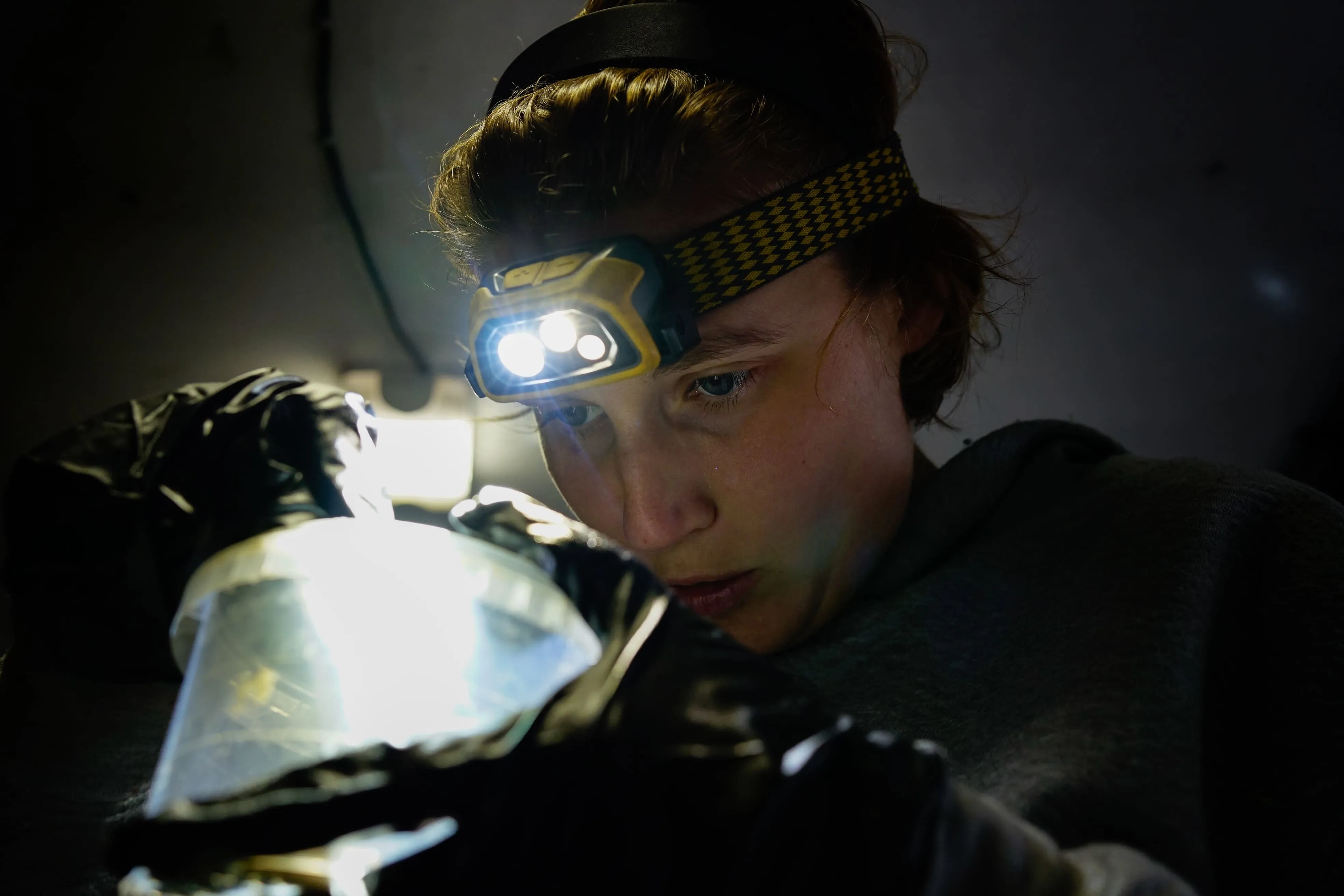 Nomads Productions | Fondation Tara Océan