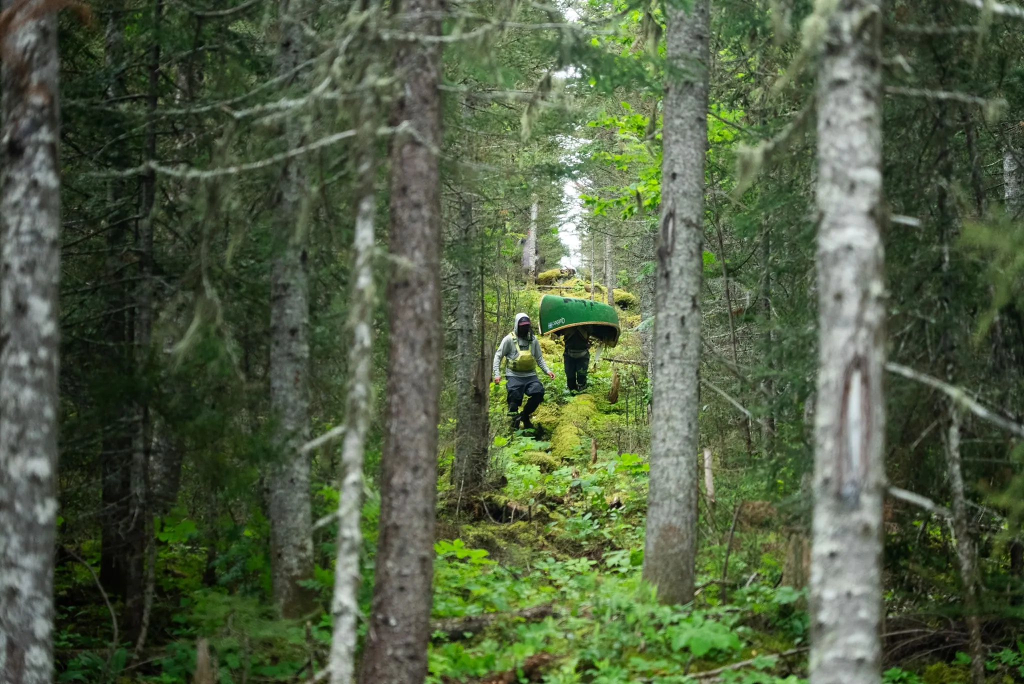 Nomads Productions | Sur la route des fourrures