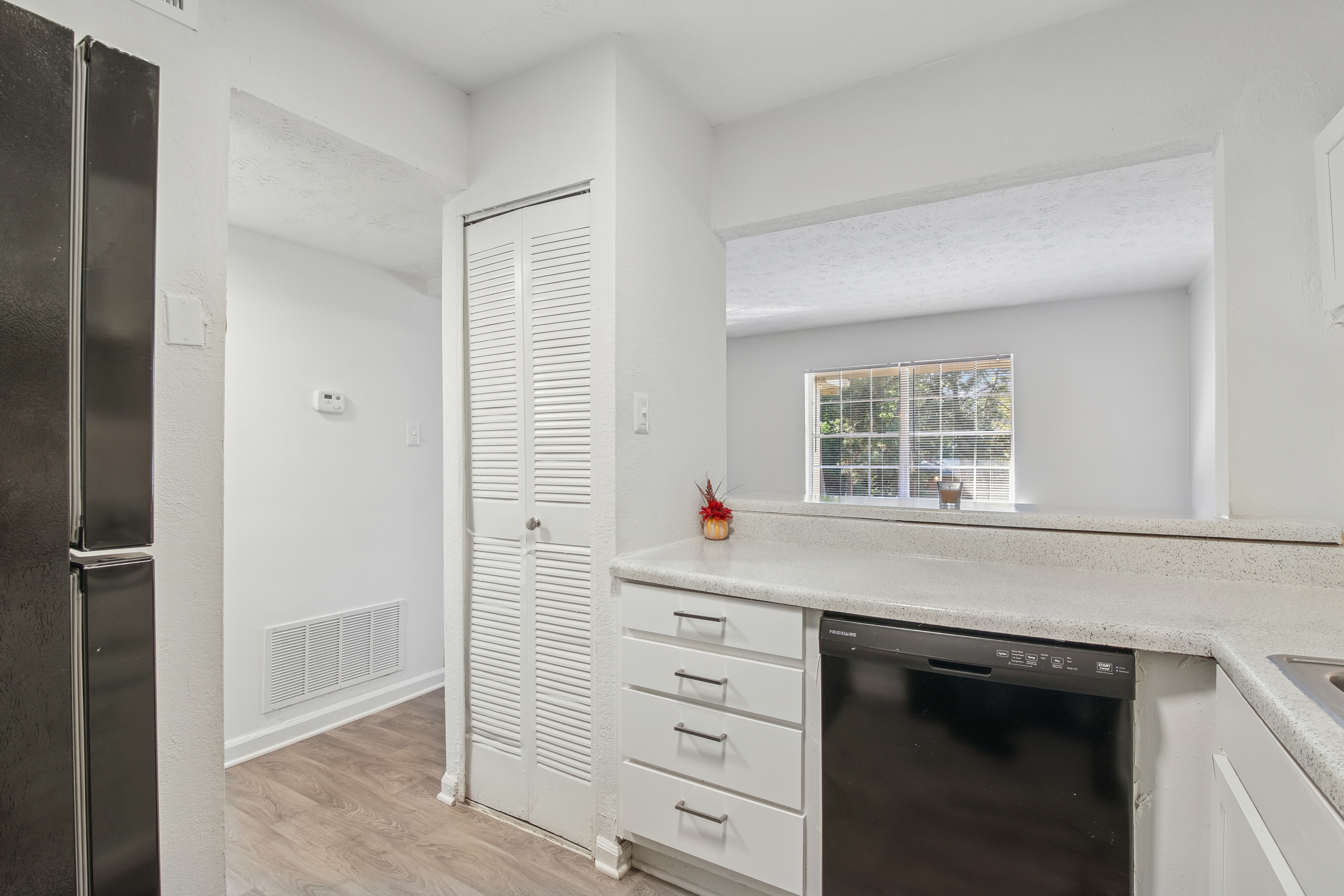 Dishwasher and pantry in kitchen