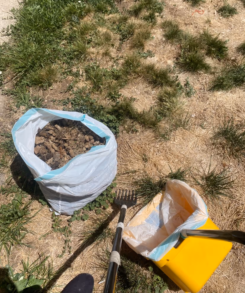 Dog poop scooper and dog poop bags