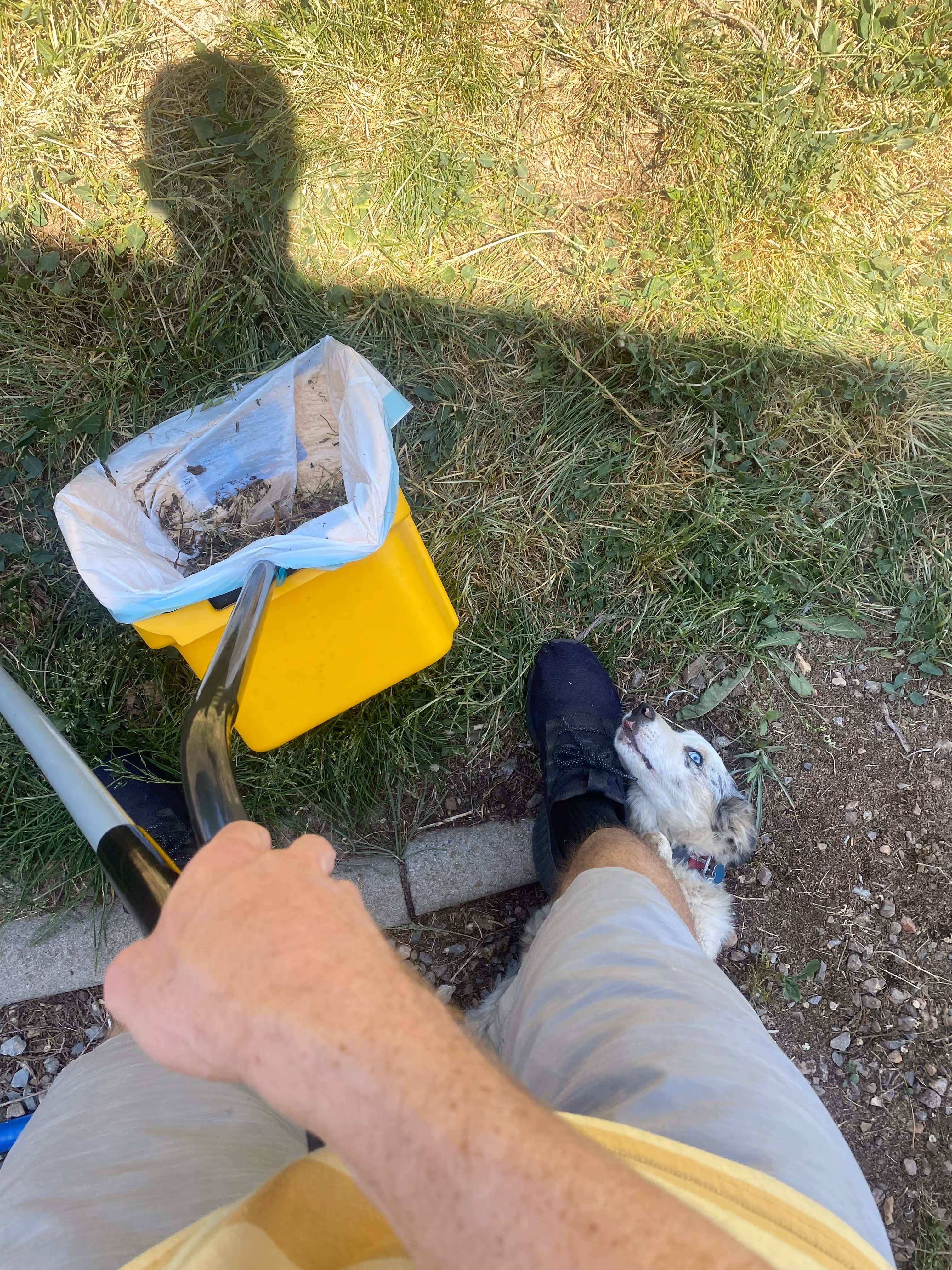 Man holding industrial dustpan with dog at his feet