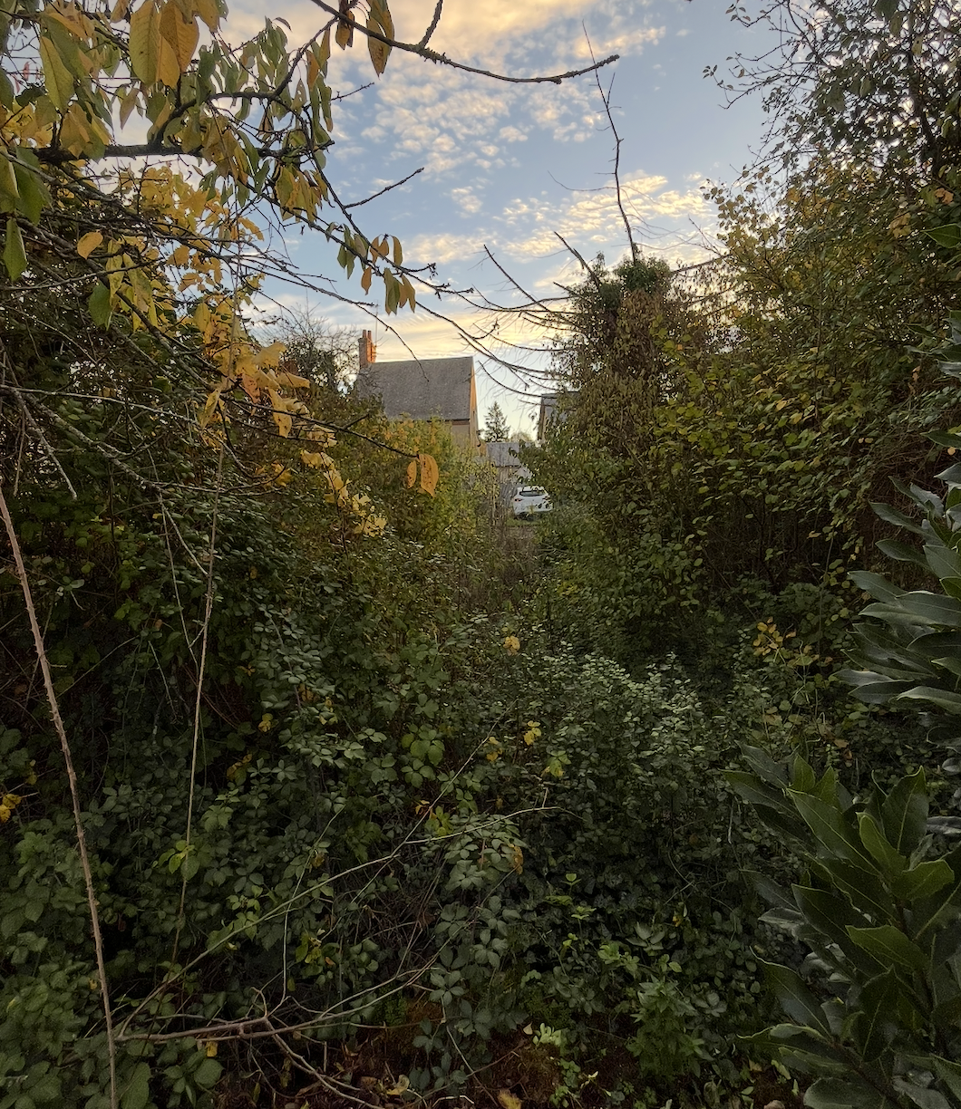 Assainissement, terrassement aménagement extérieur et paysagiste à Graçay dans le Cher (18)