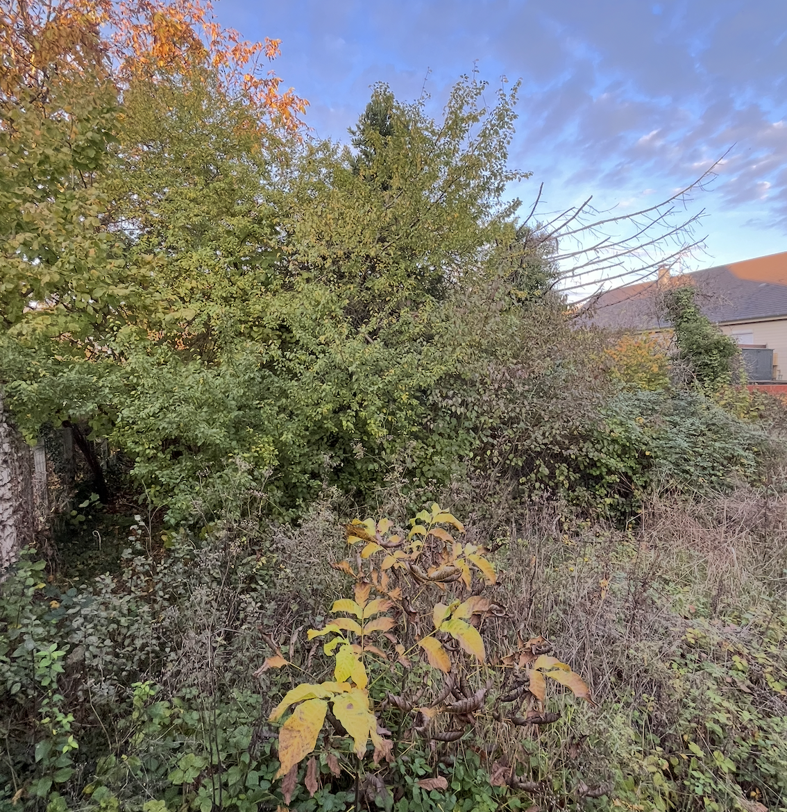 Assainissement, terrassement à Bourges dans le Cher (18)