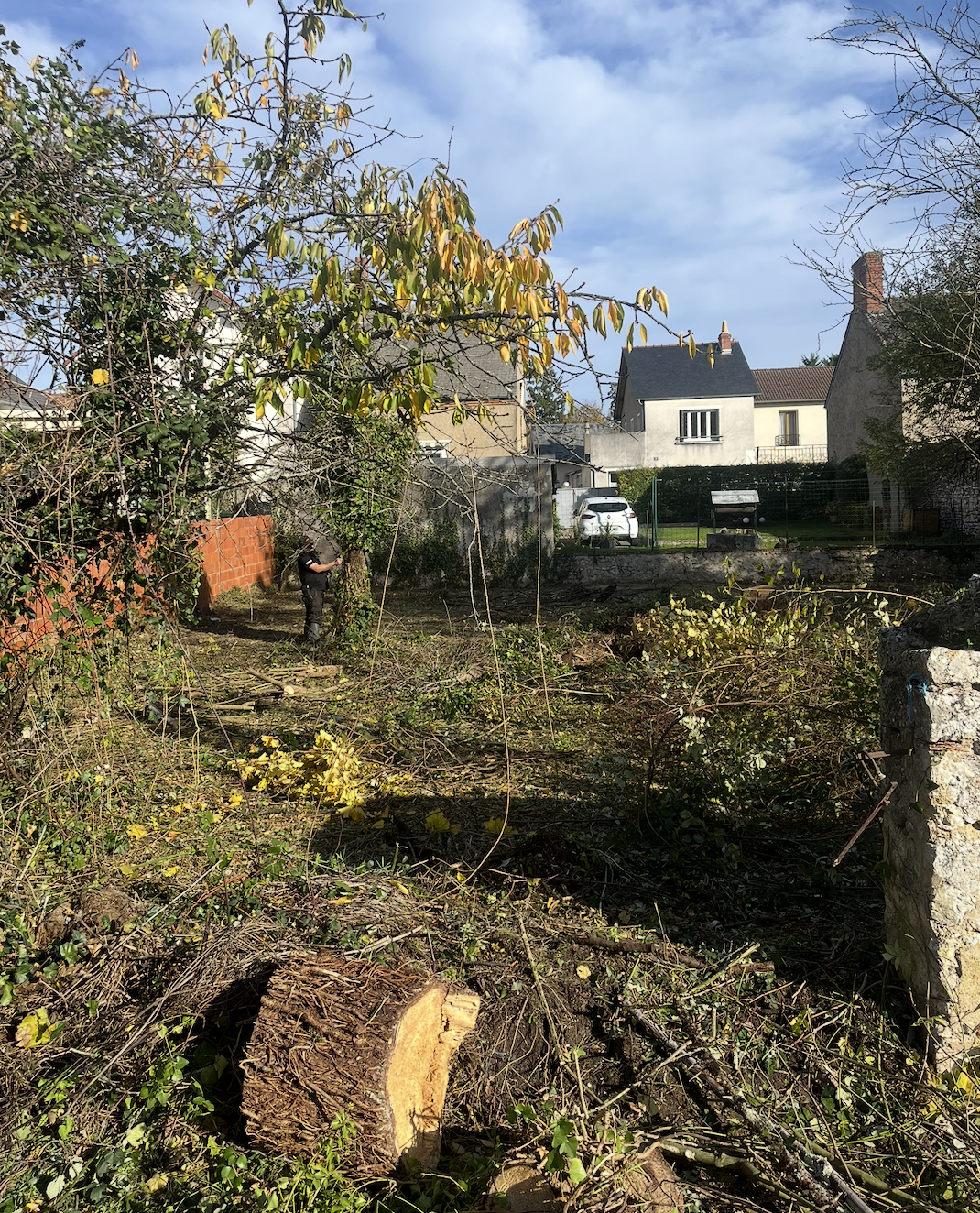 Assainissement, terrassement aménagement extérieur et paysagiste à Saint-Laurent dans le Cher (18)